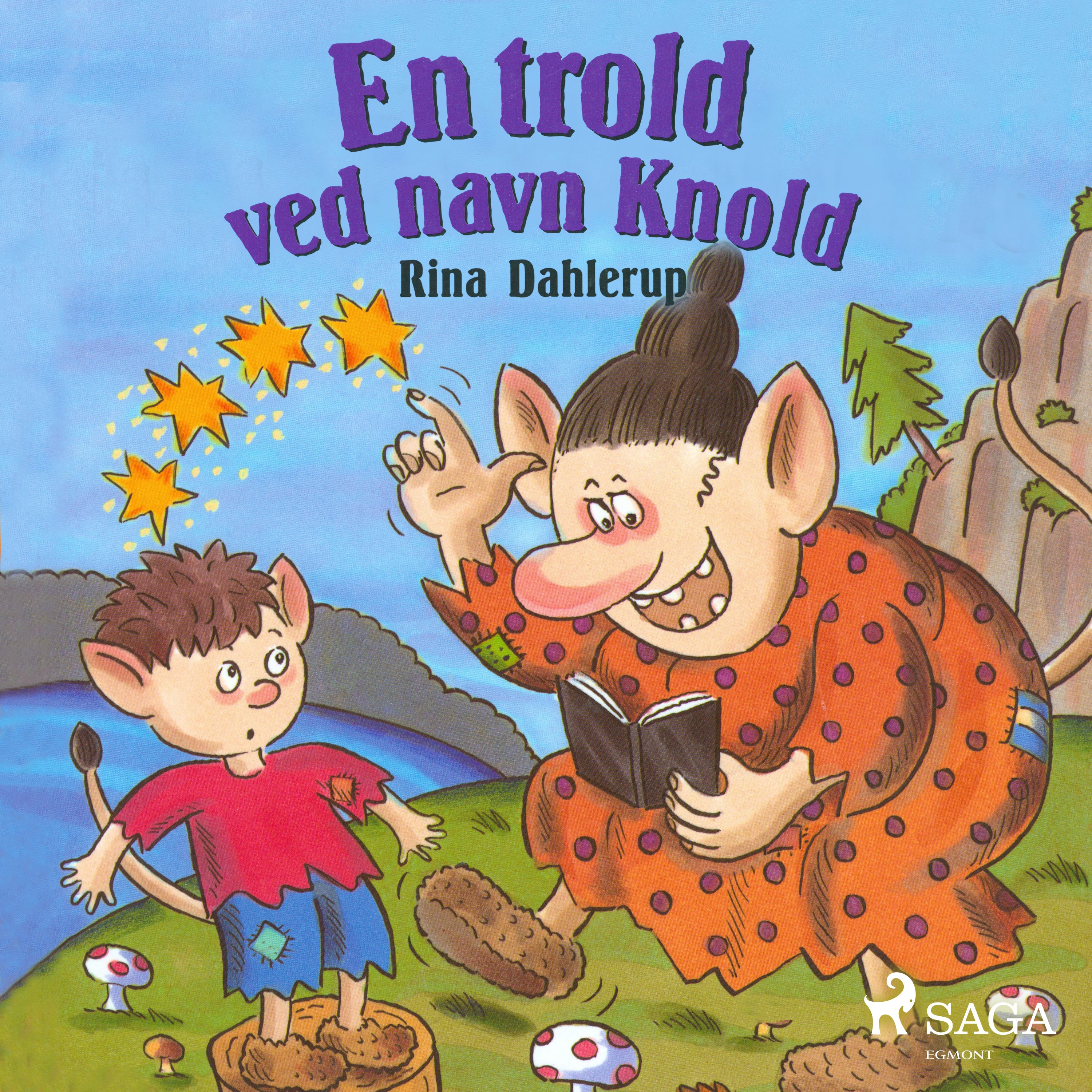 Forside billede